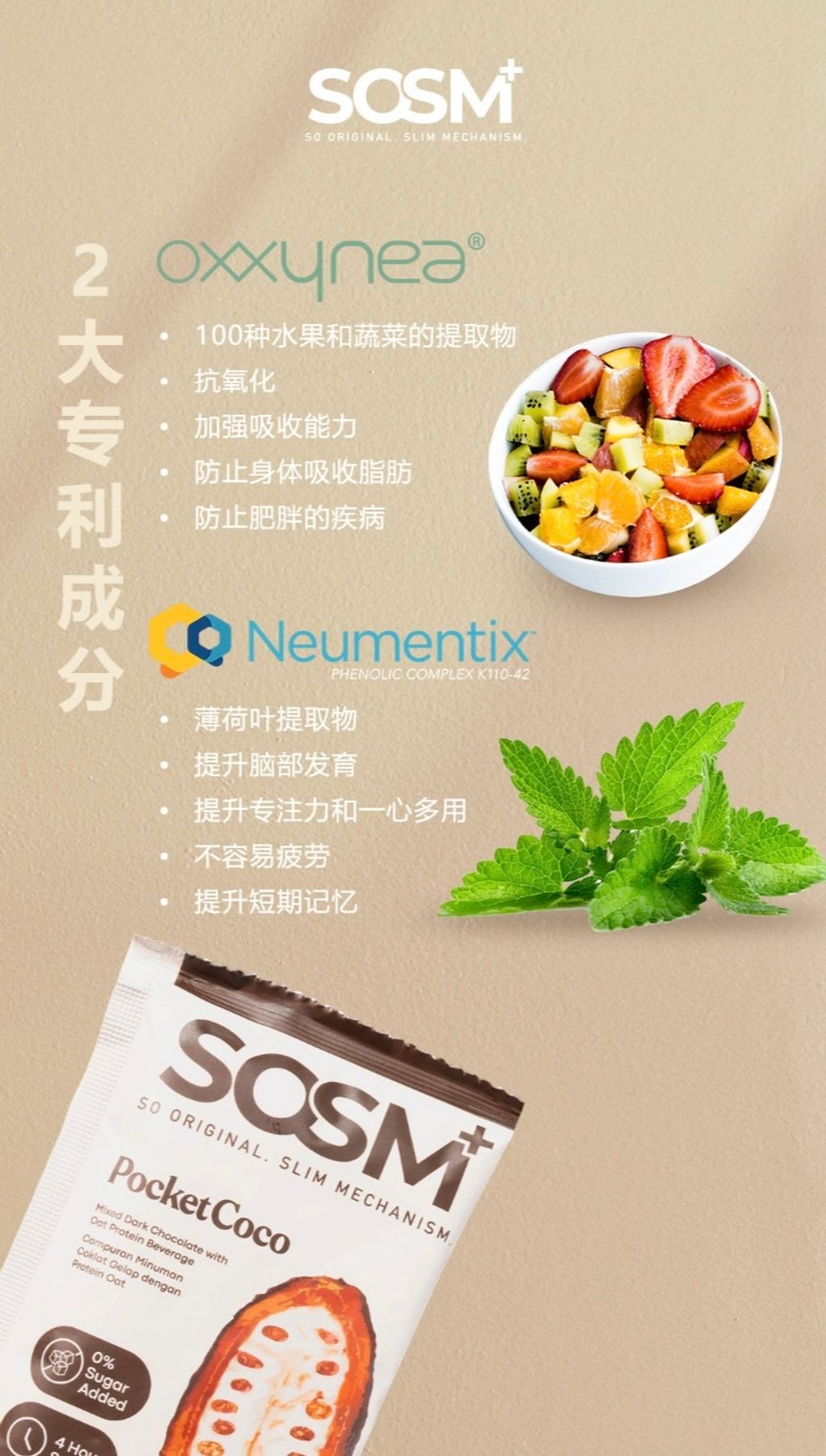 IMG_1849-1740323028980