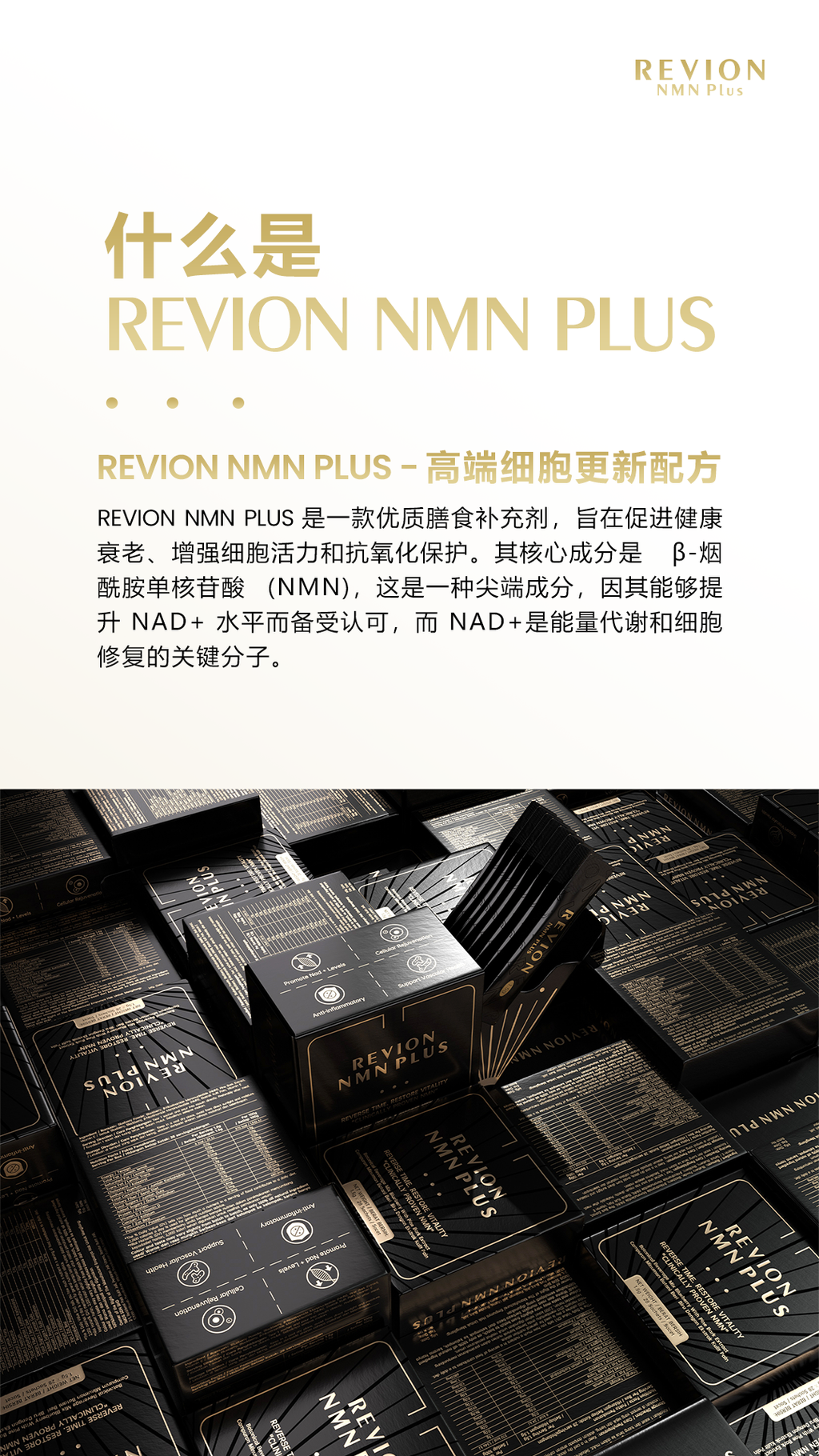 image_3D54DA3B-6DA5-4AFA-BD86-A68081A6A61D_1754154923