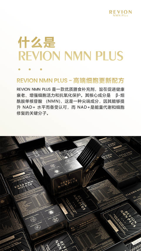 image_3D54DA3B-6DA5-4AFA-BD86-A68081A6A61D_1754154923