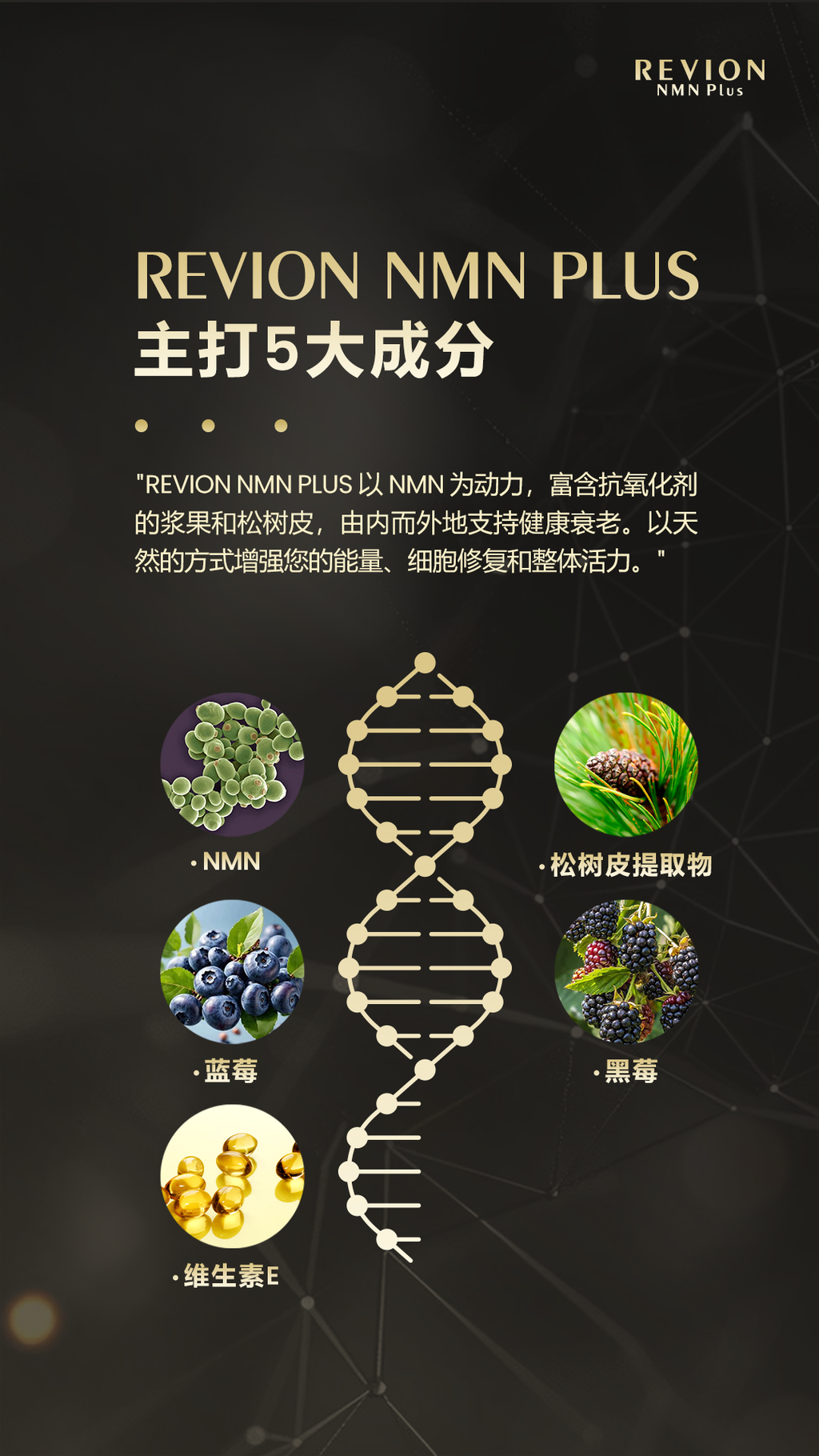 image_10F1FD44-8A0F-457E-8D1D-EC5BBD600638_1754154924