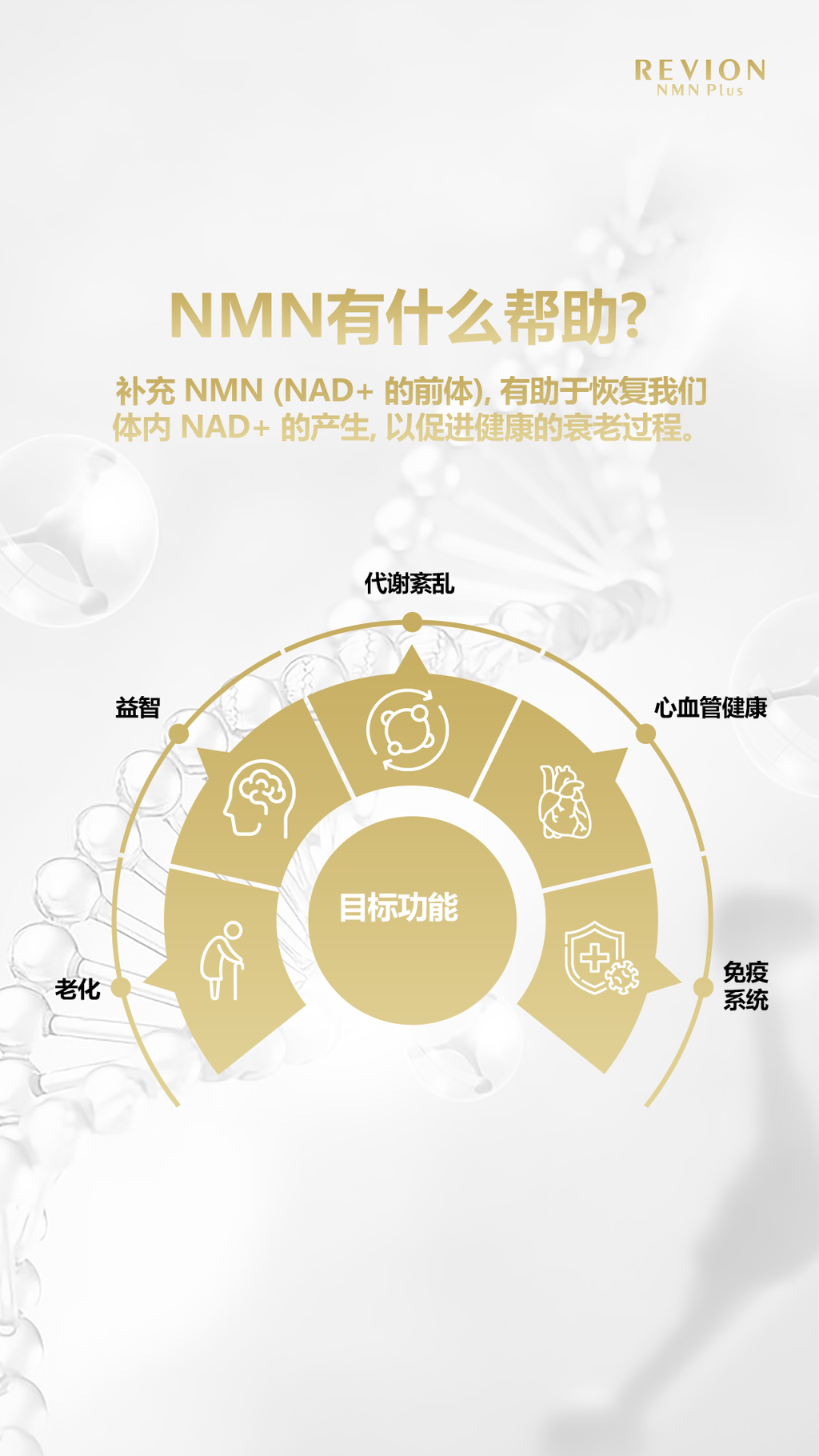 image_6E97D249-867C-44C5-89EF-8C724E4889A1_1754154924