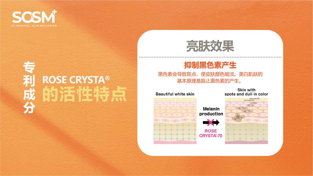 image_342B89EF-0A10-400A-BEE8-750EF489F1FC_1757339551