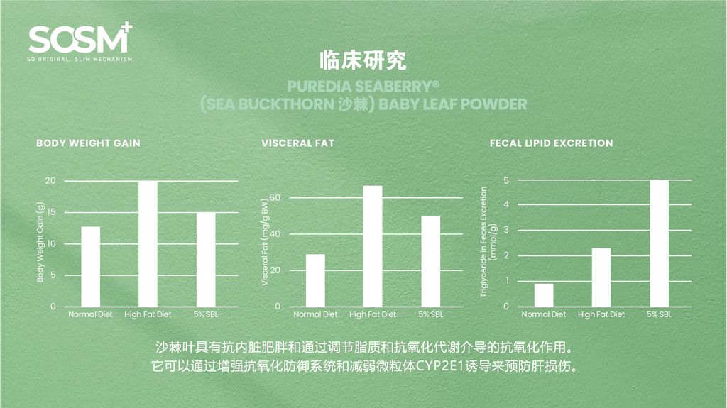 image_F38B7350-C1D4-4144-B132-5A306C5B7B13_1757339903