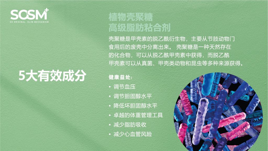 image_9A9AB155-A5EC-4D7E-B50C-0948C9564C9A_1757339903