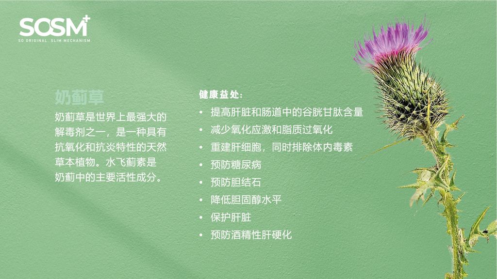 image_9DA831F5-8711-4511-85A1-284128796465_1757339903