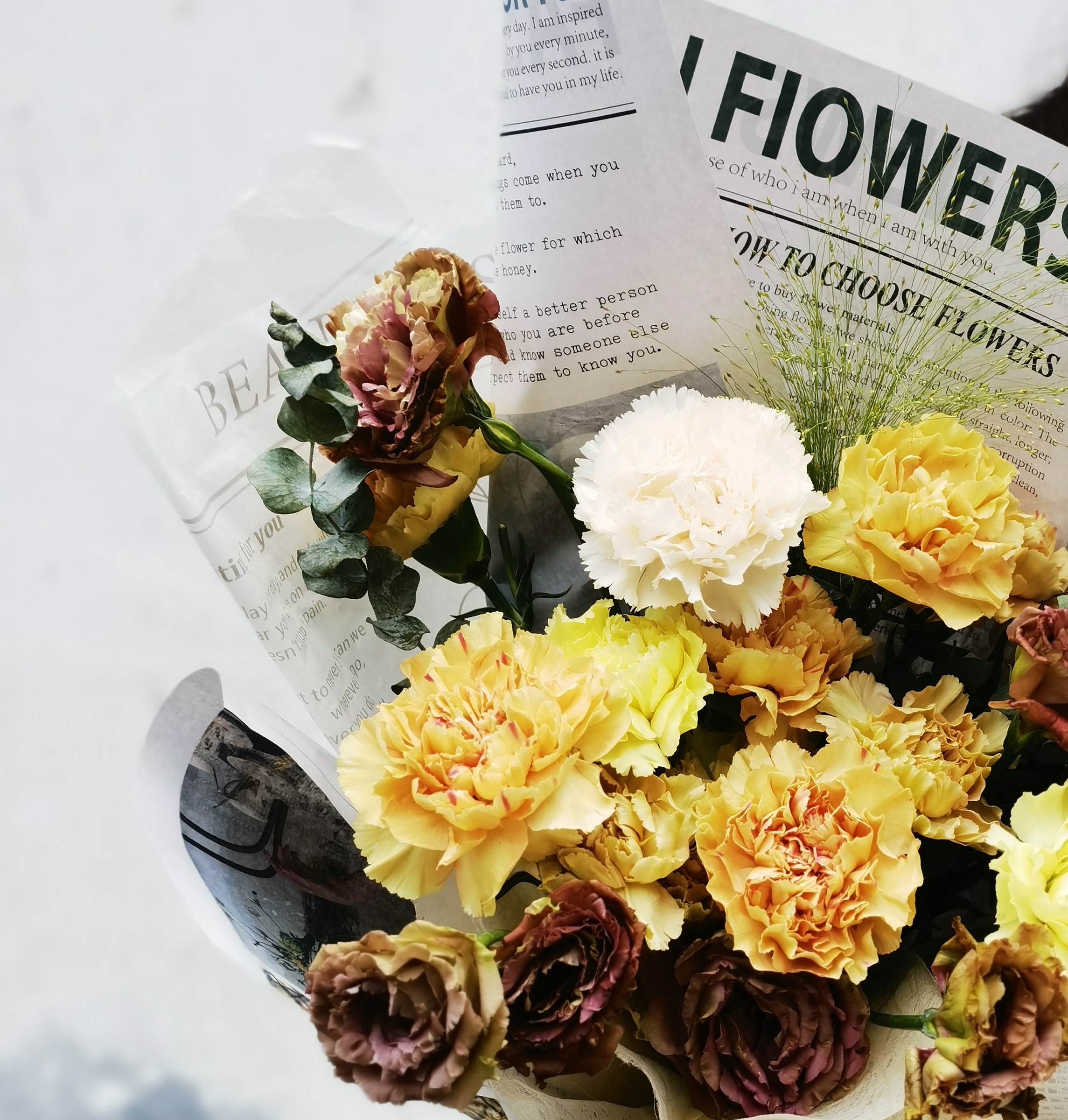 IMG_20230418_152418(1)