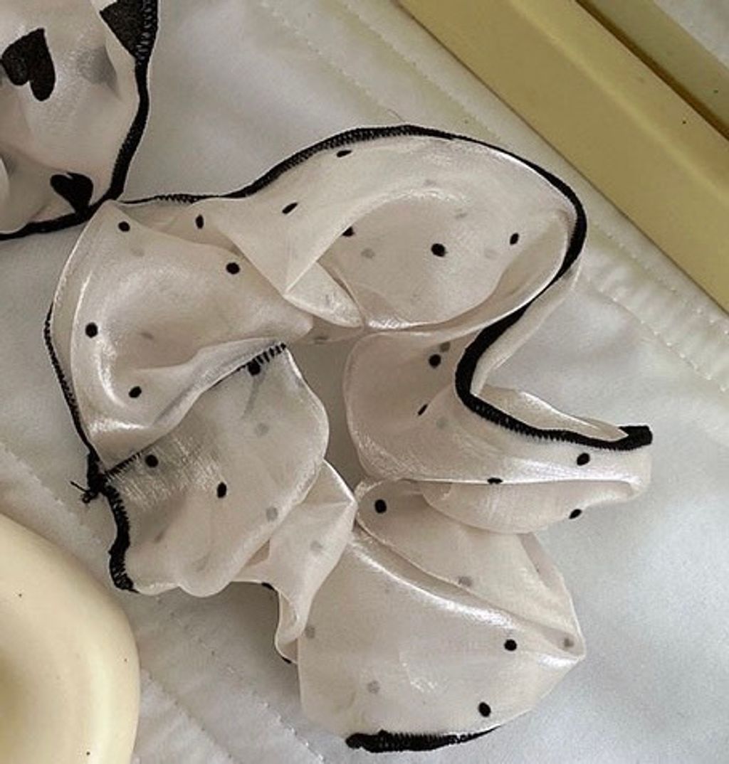 IMG_2081-1729049673536