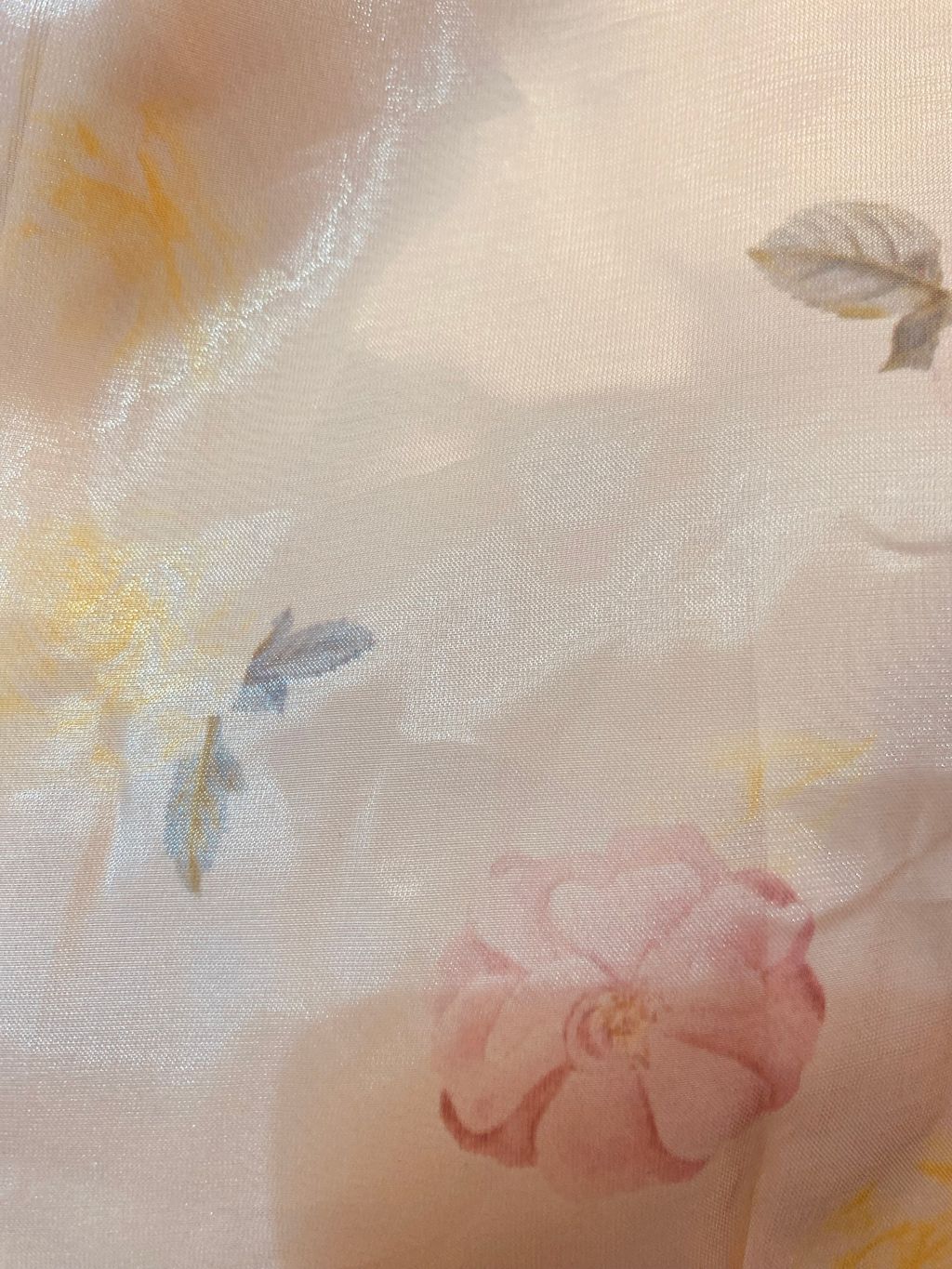 image_9D6104B6-FDE3-452E-AE49-34A3612890EB_1751801607