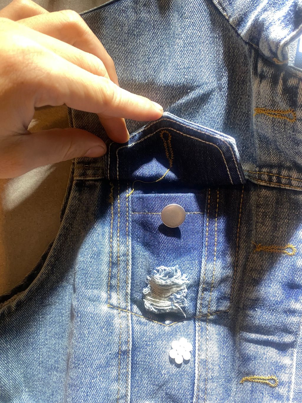 image_1ECC449F-A130-42BD-B1EF-929E0344C031_1756782597