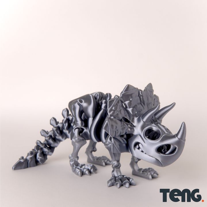 恐龍-10