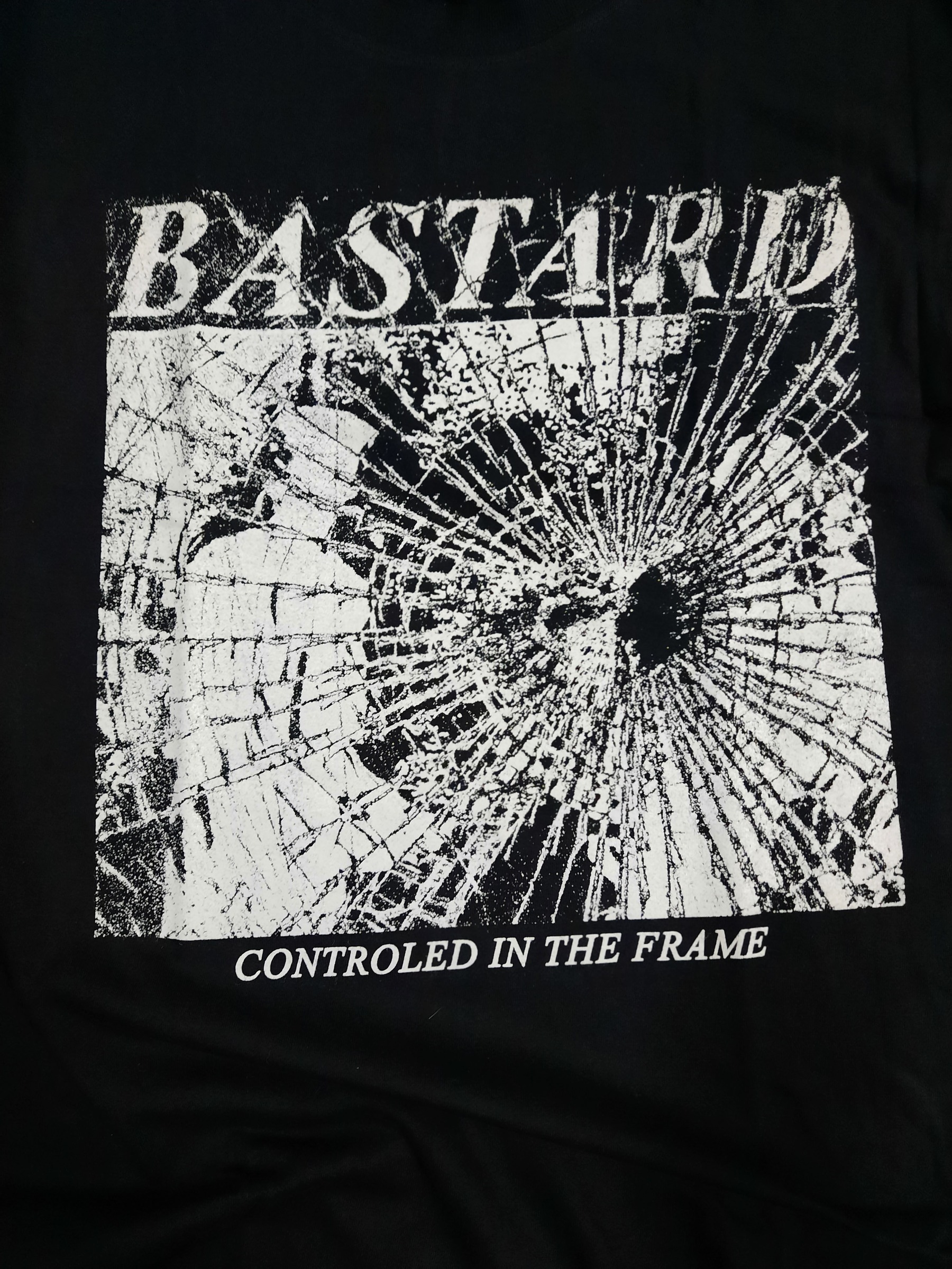 BASTARD / controled in the frame レコード-