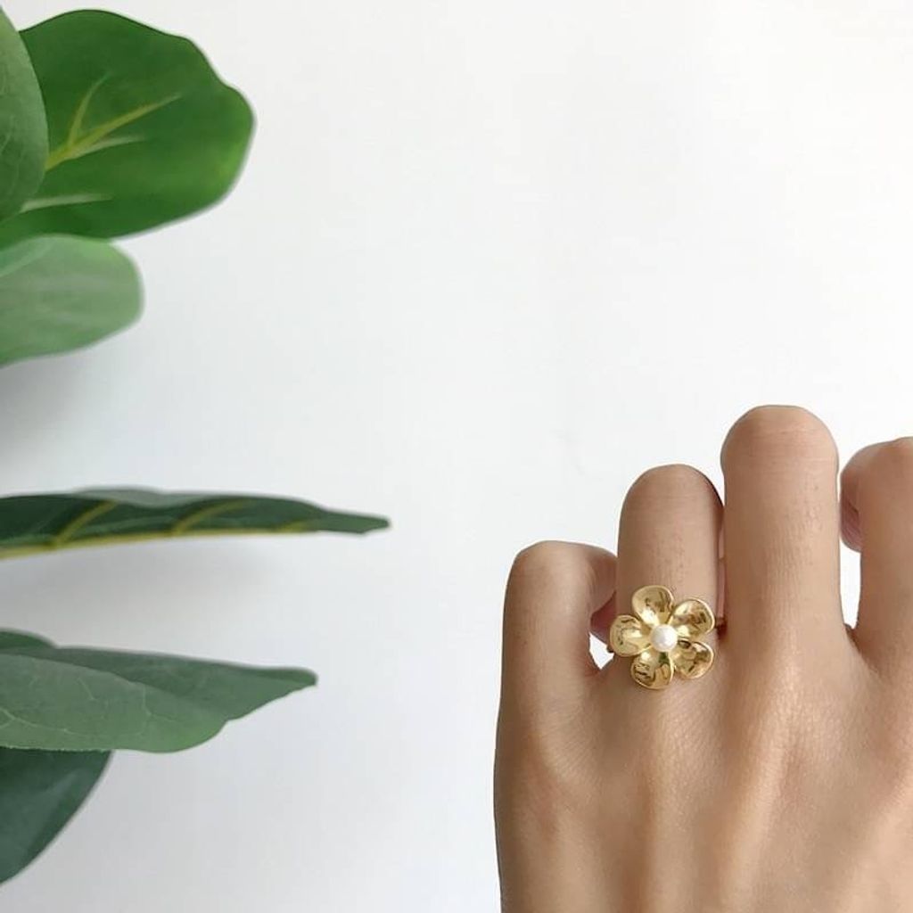 IMG_0201-1697257662157