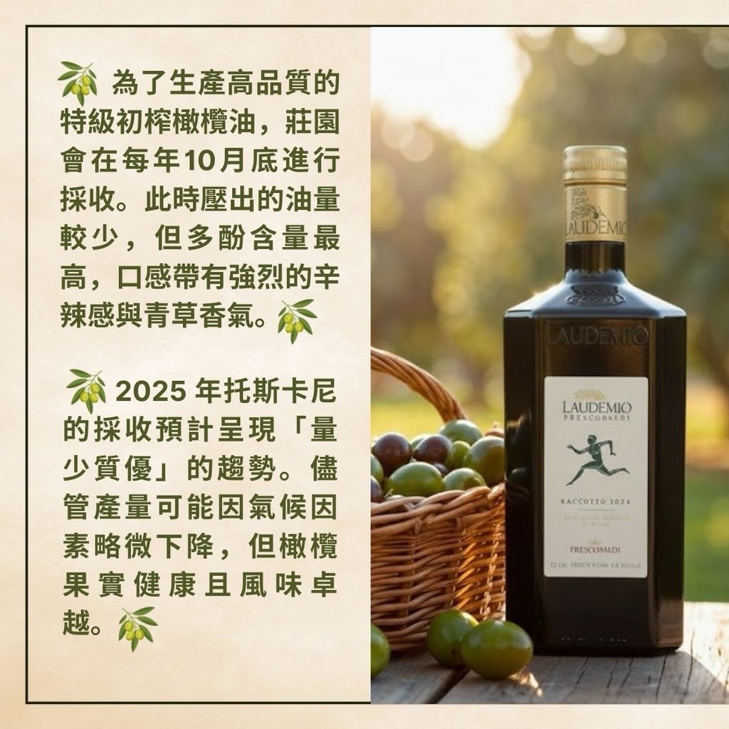 image_13A21B36-7643-4B16-932C-522D714A4B6E_1774885880