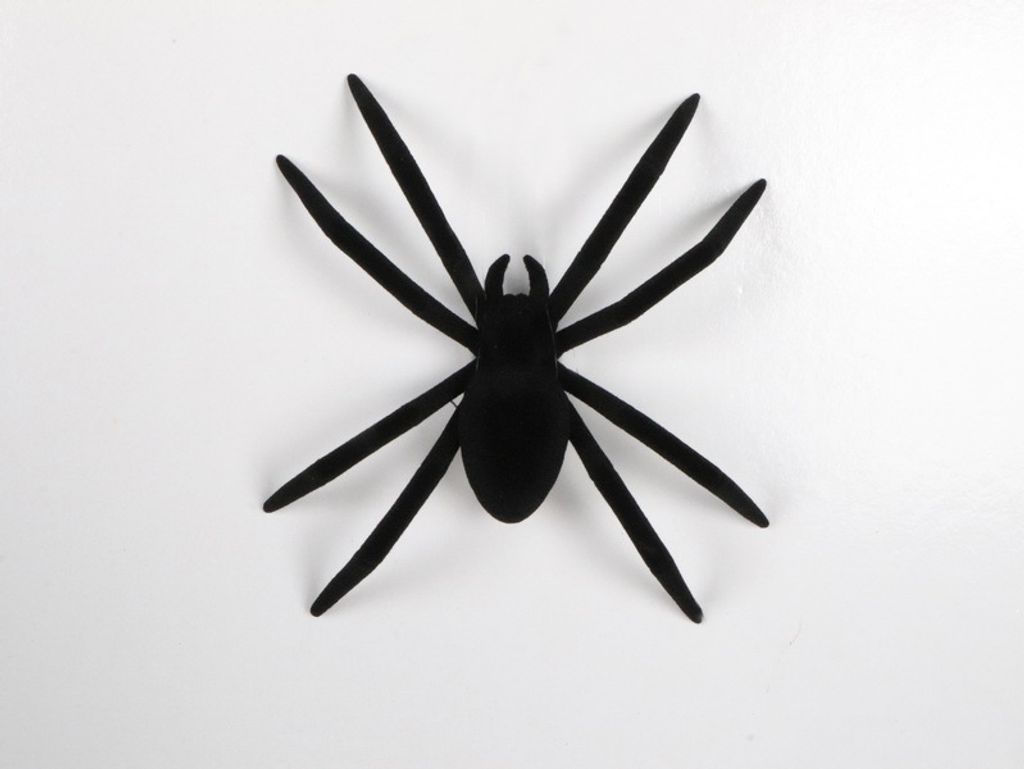 Naughty 搞怪植絨蜘蛛公仔