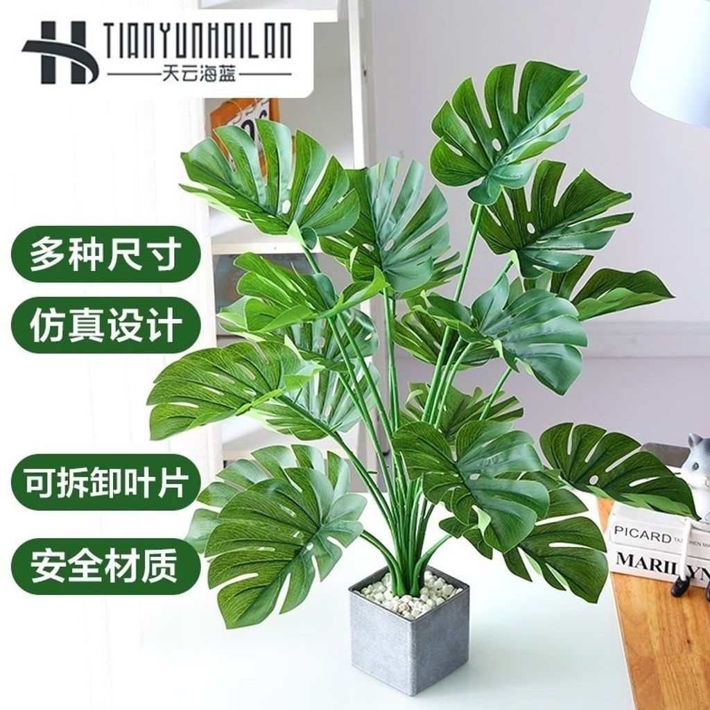 sg-11134201-22110-sa0hvfxsixjvde