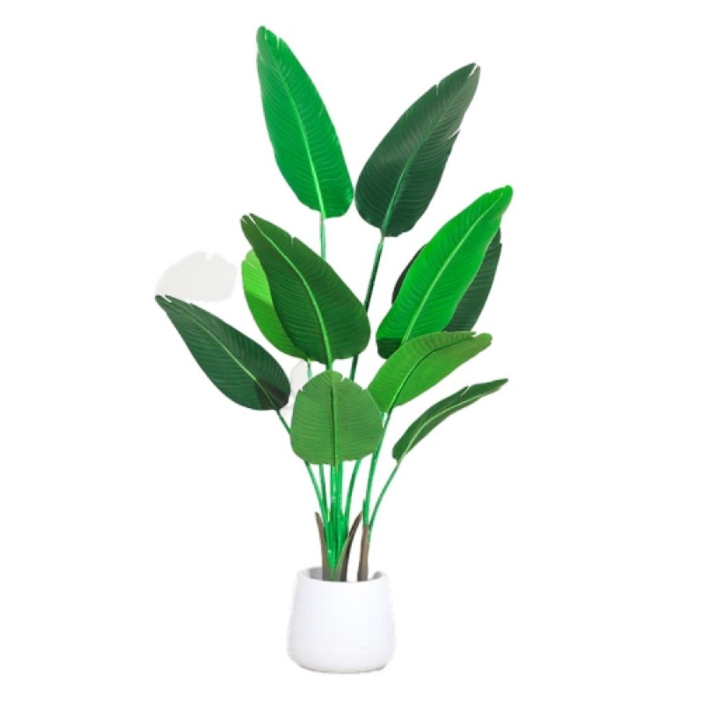 sg-11134201-22110-imbj0bxsixjv53