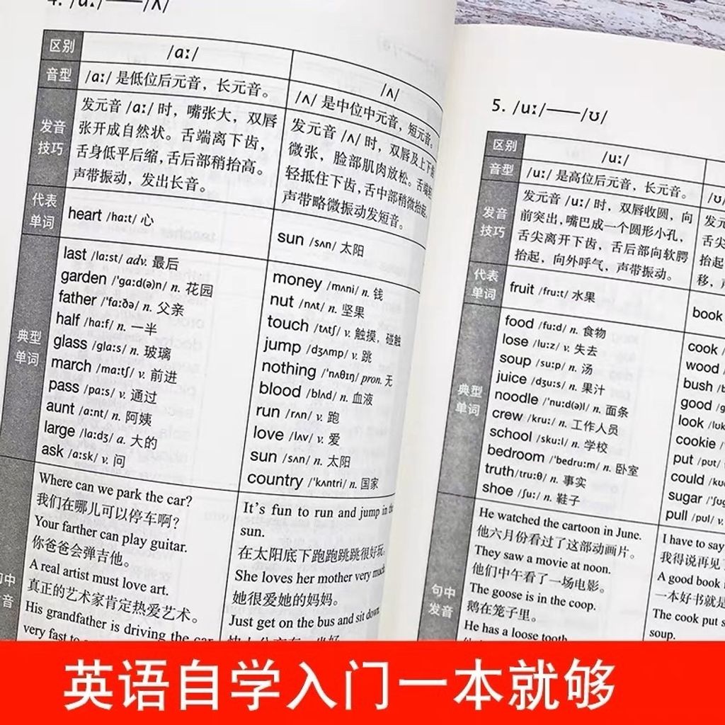 sg-11134201-22120-3kwsr8h1illv7f