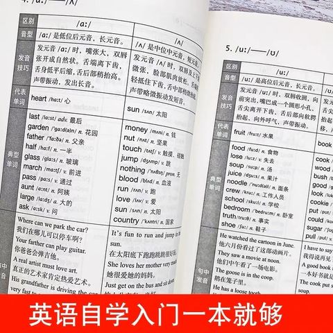 sg-11134201-22120-3kwsr8h1illv7f