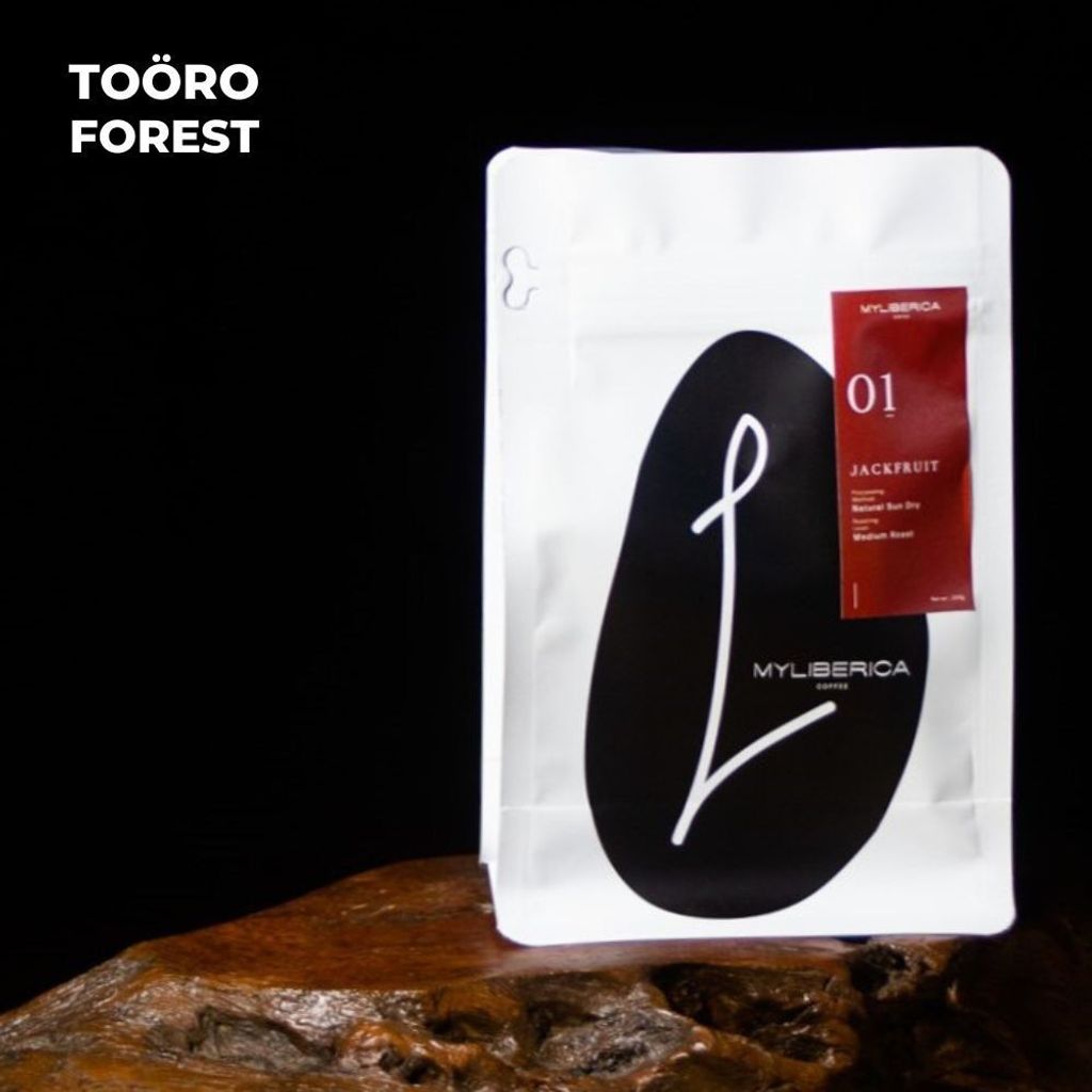 my-11134207-7r990-lwb2caycwdwqd5