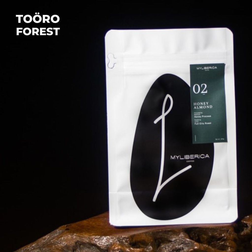 my-11134207-7r98t-lwb2caycxsh665