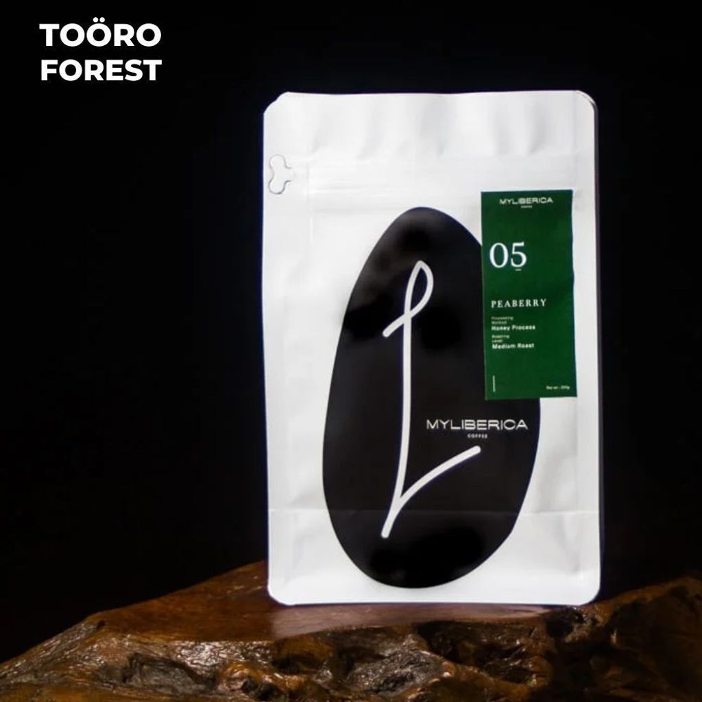 my-11134207-7r98t-lwb2cayd206i20