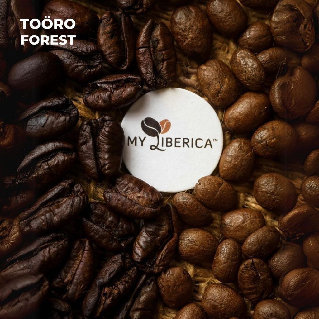 my-11134207-7r98u-lwb2caycuzcae0