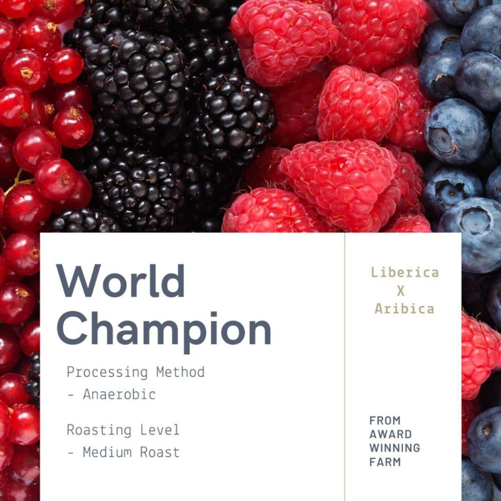 my-11134207-7r98q-ly18cdwtzr0040