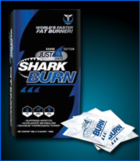 sharkburn_image1.jpg
