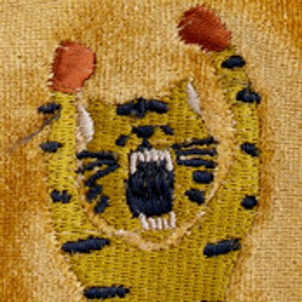 15157056_1007