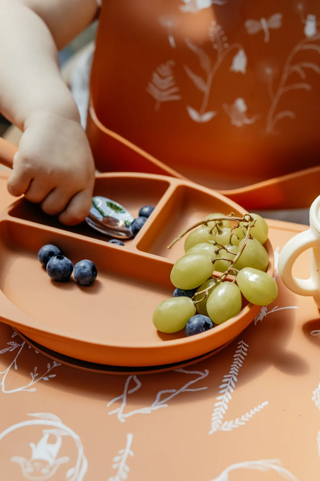 dinnerware terra 2