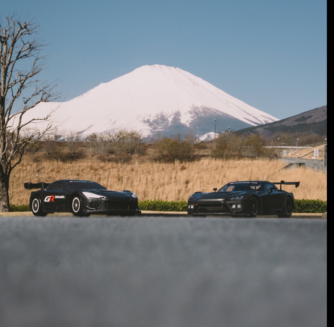 pic_gallery_pc 2 2 2