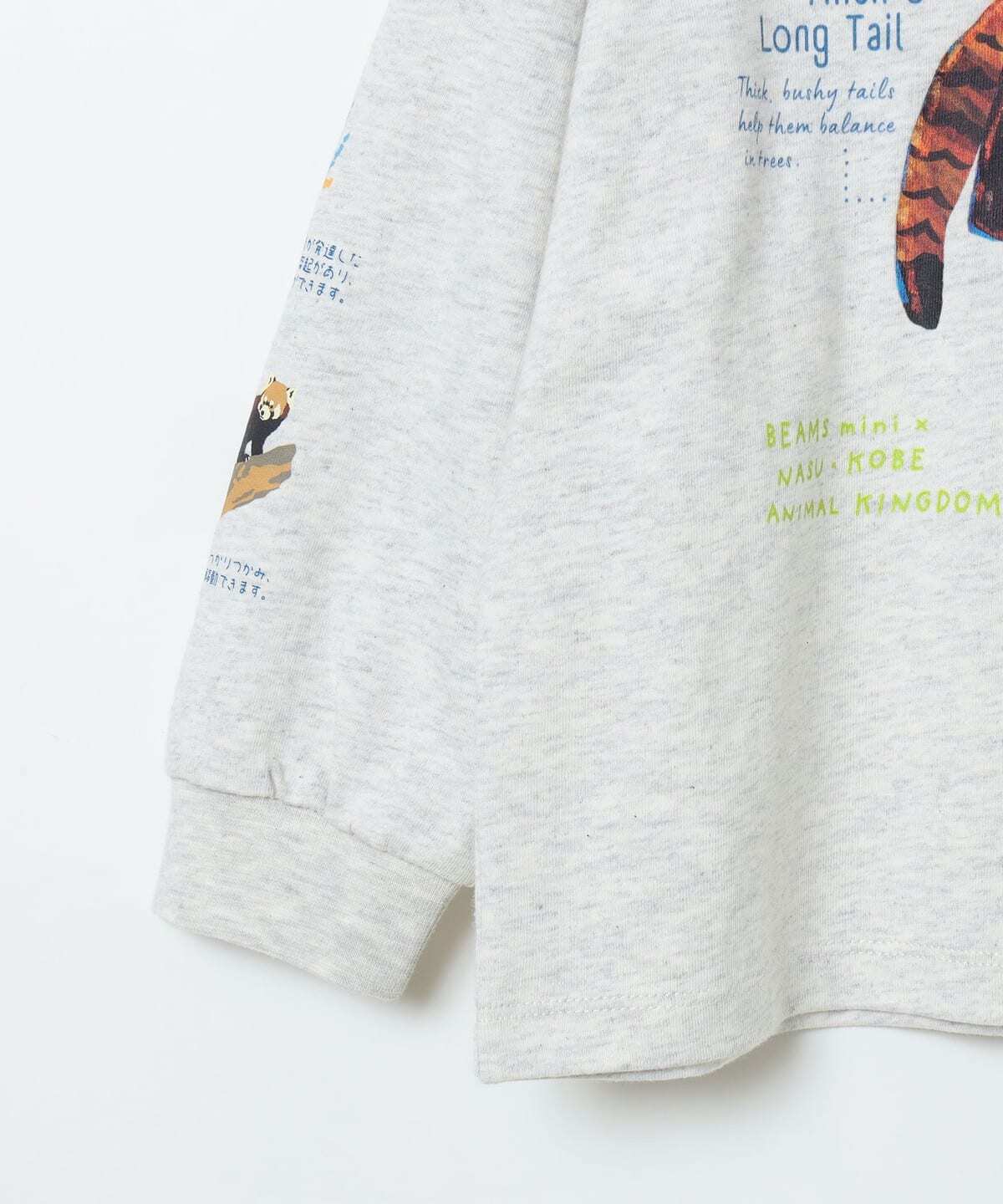 2026🇯🇵BEAMS mini|長袖T恤|動物圖鑑手繪|聯名限定|90-140|耐洗不易鬆 - 商品描述圖 9