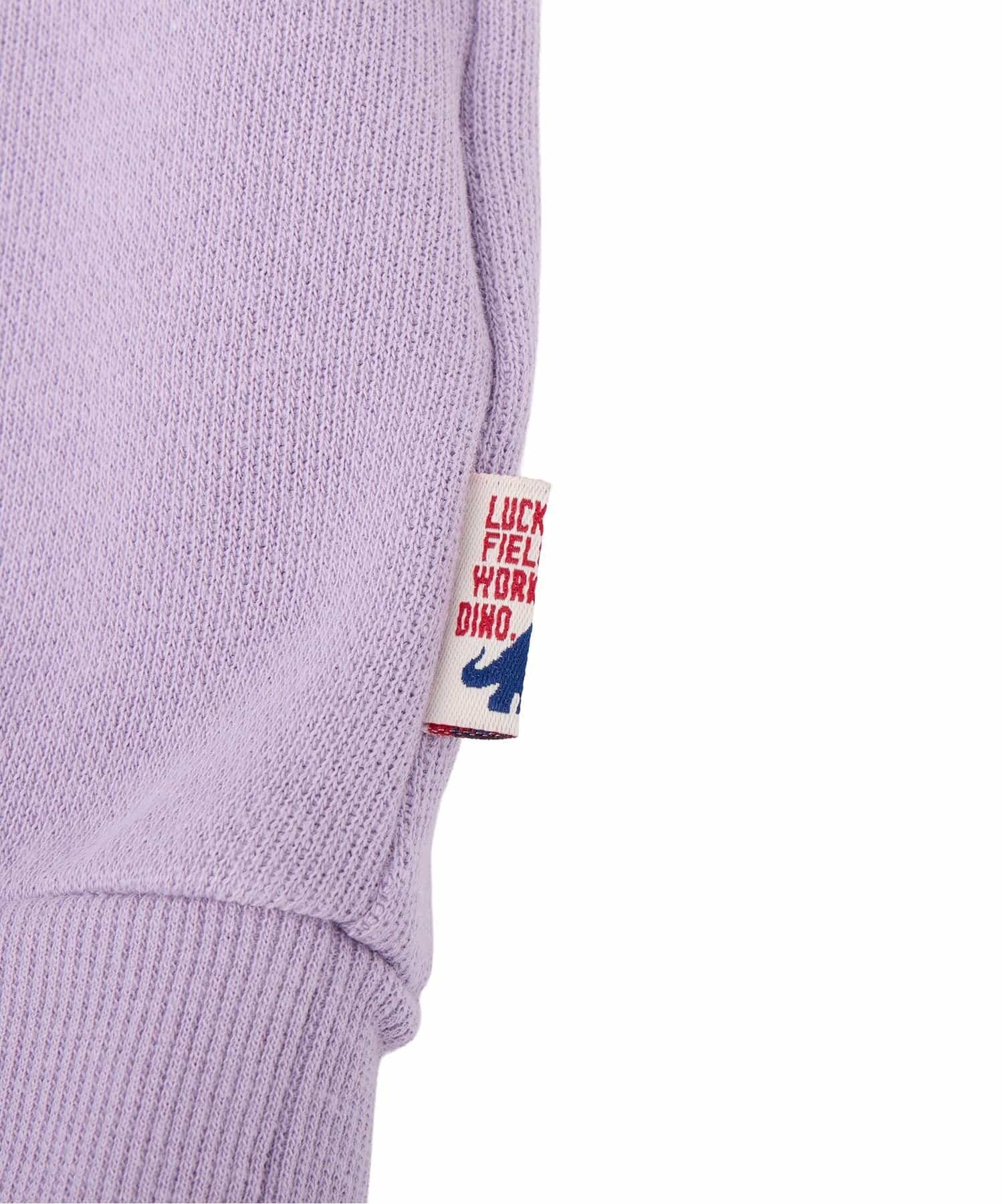 2026🇯🇵F.O.KIDS｜恐龍大學T｜復古手繪線條｜純棉毛圈｜80-140｜男寶出門秒穿上 - 商品描述圖 5