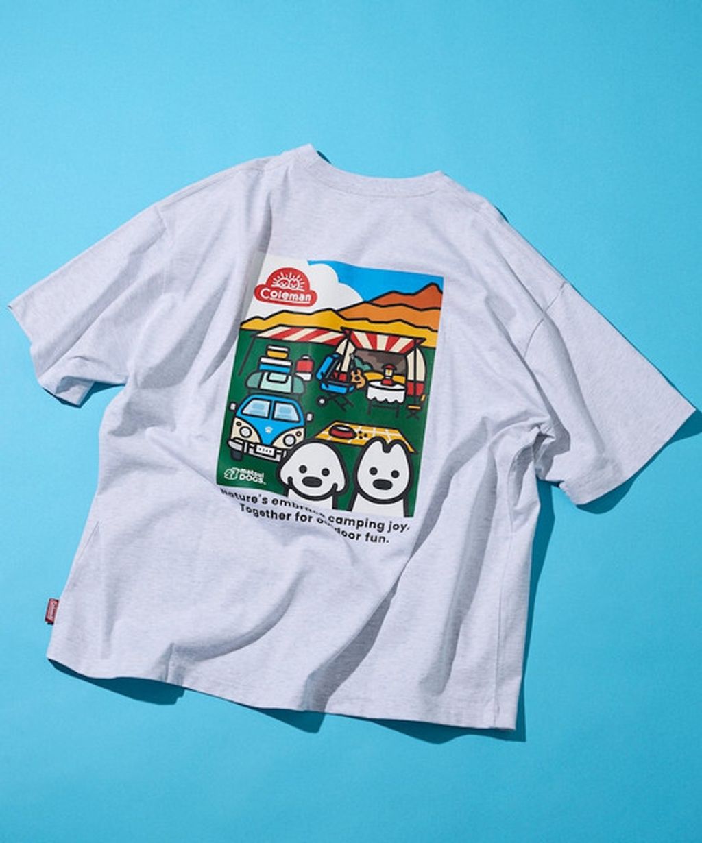 item69ccdfb4023ff-jpg