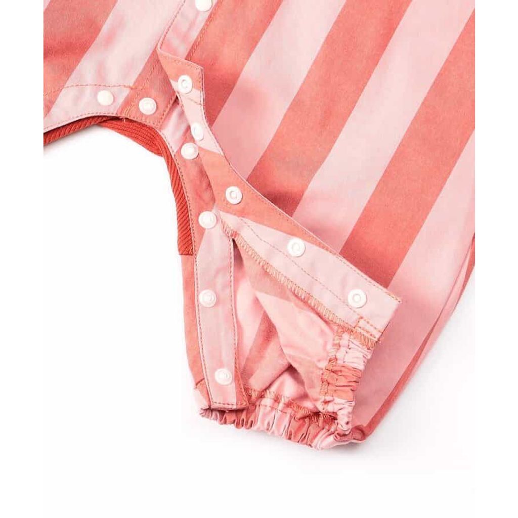 tw-11134207-81ztp-mdwsx6j7hzb637