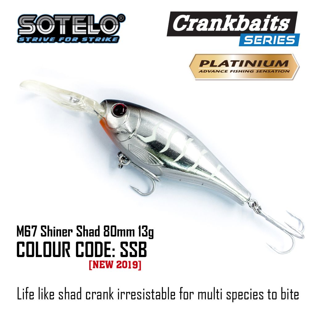 ShinerShad-Socmed-06