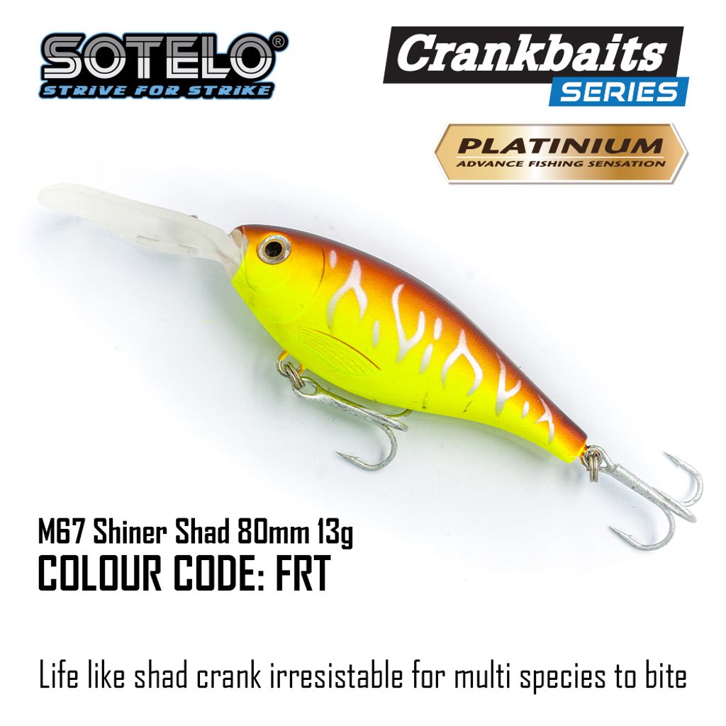 ShinerShad-Socmed-16