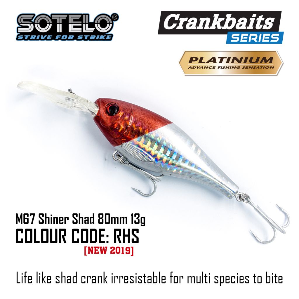 ShinerShad-Socmed-05