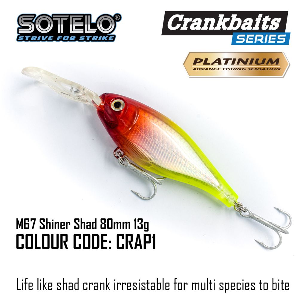 ShinerShad-Socmed-09