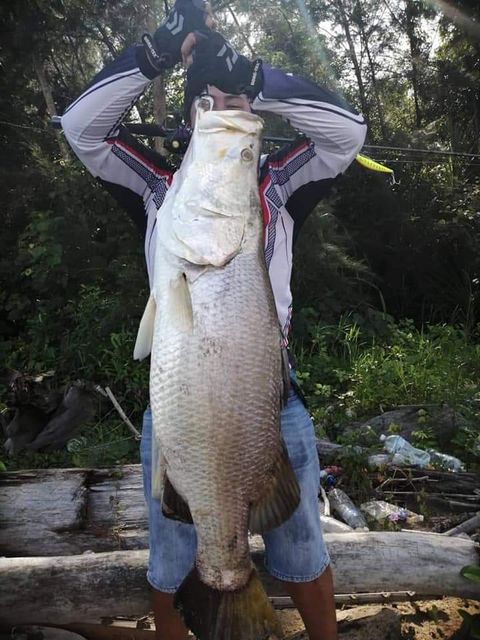 4be0f7bb77a822d52be70764b2075a7