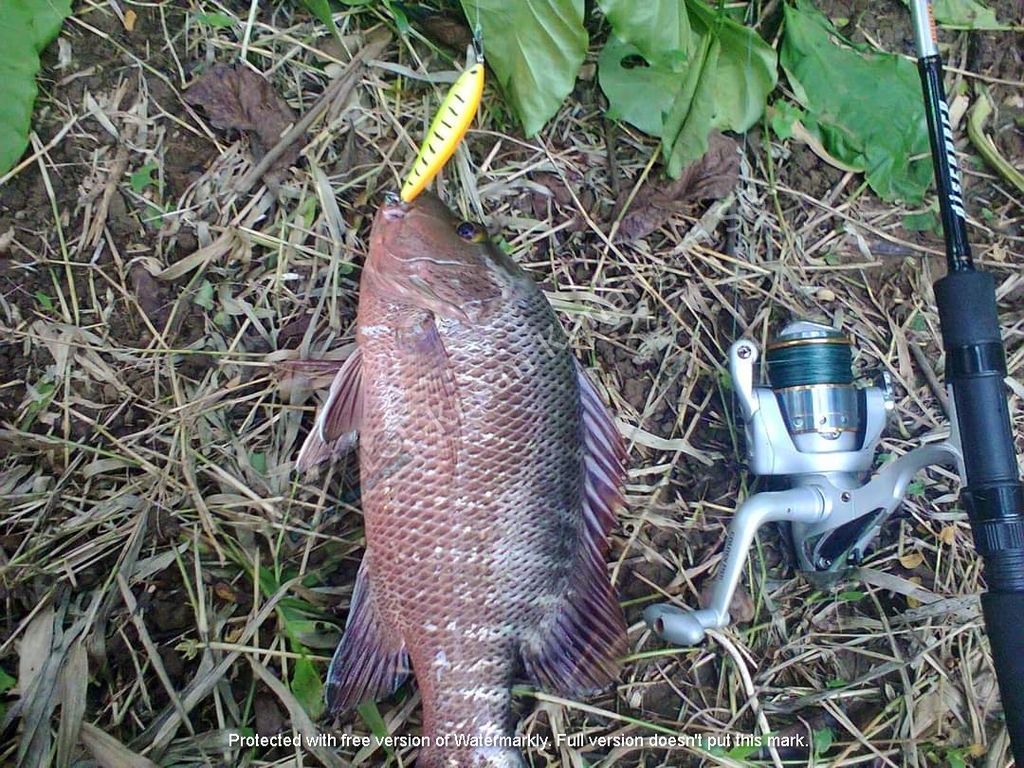 586004bee408723be8dbace9d7c1376