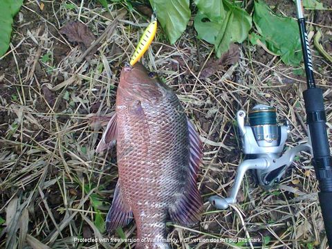 586004bee408723be8dbace9d7c1376