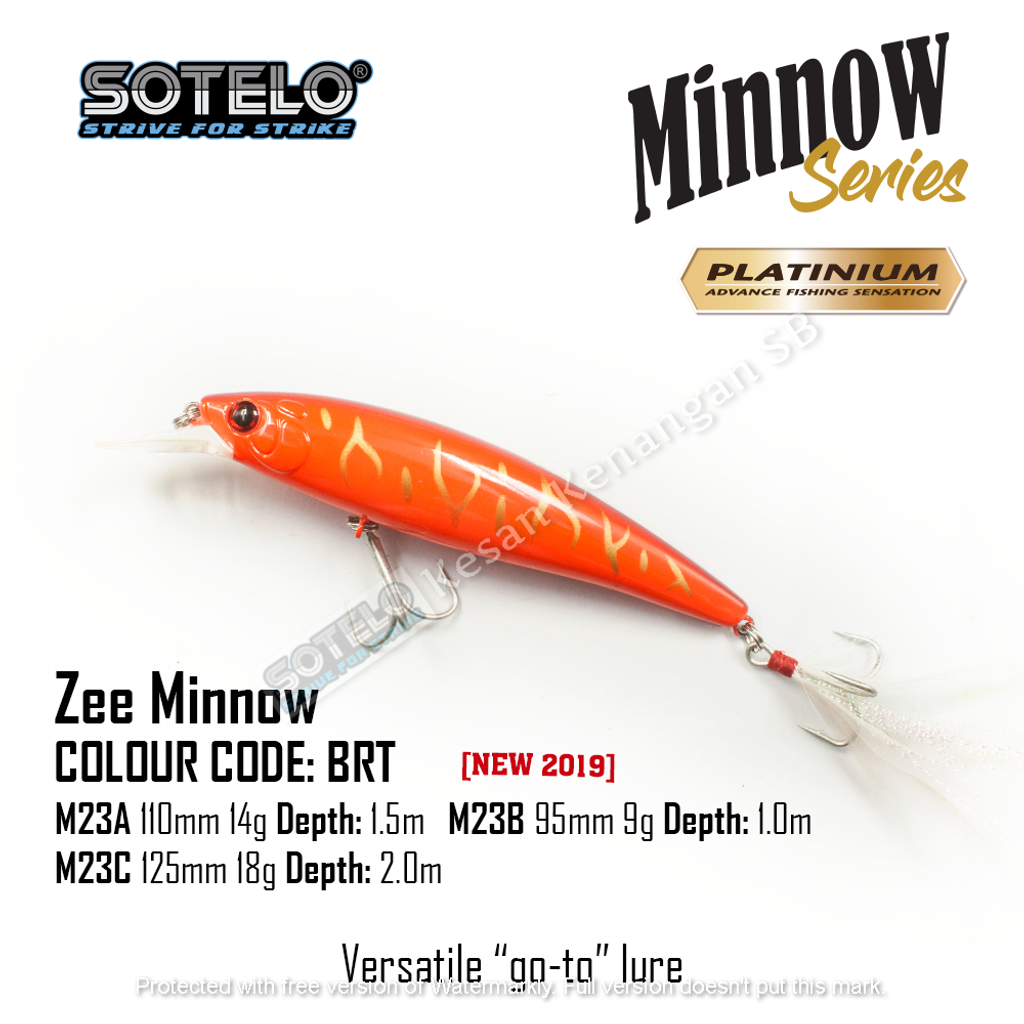 ZeeMinnow-Socmed-02