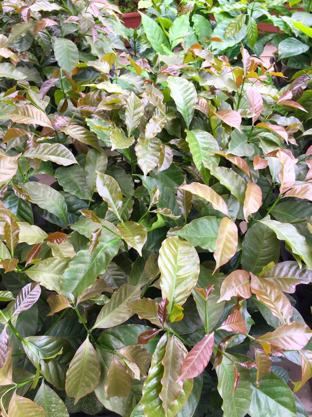 S__23961602