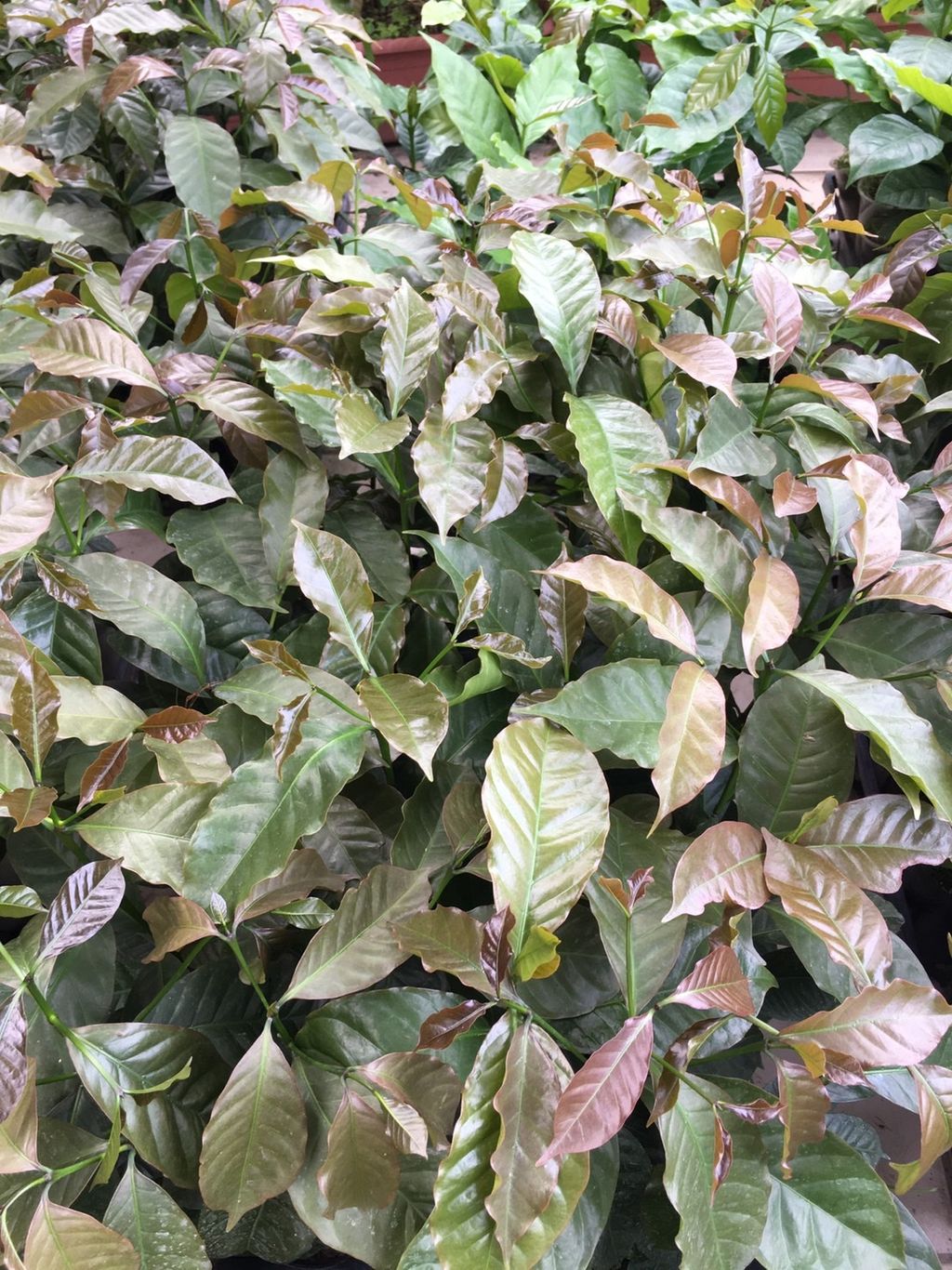S__23961615