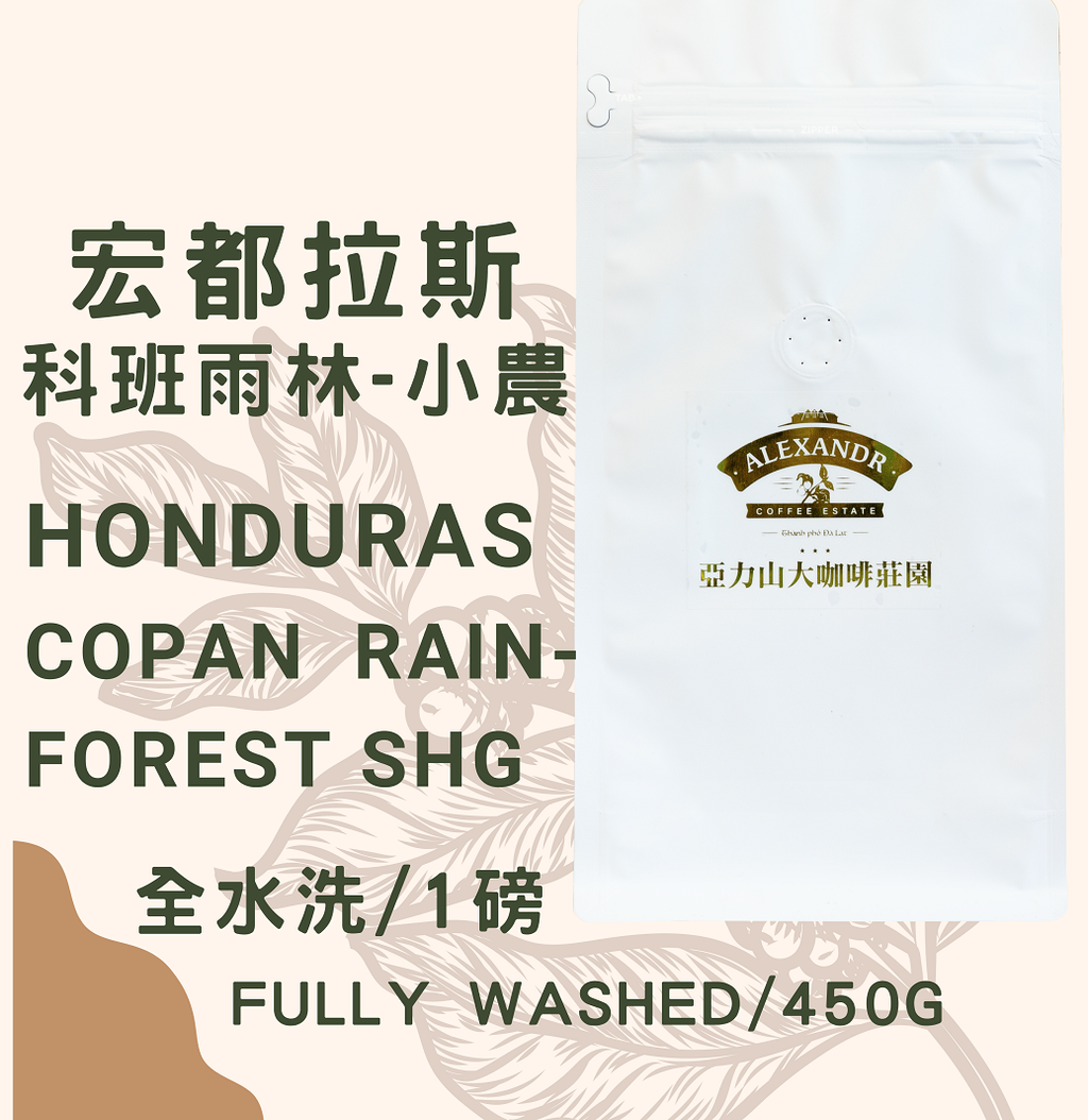宏都拉斯 科班雨林