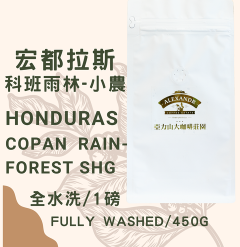 宏都拉斯 科班雨林
