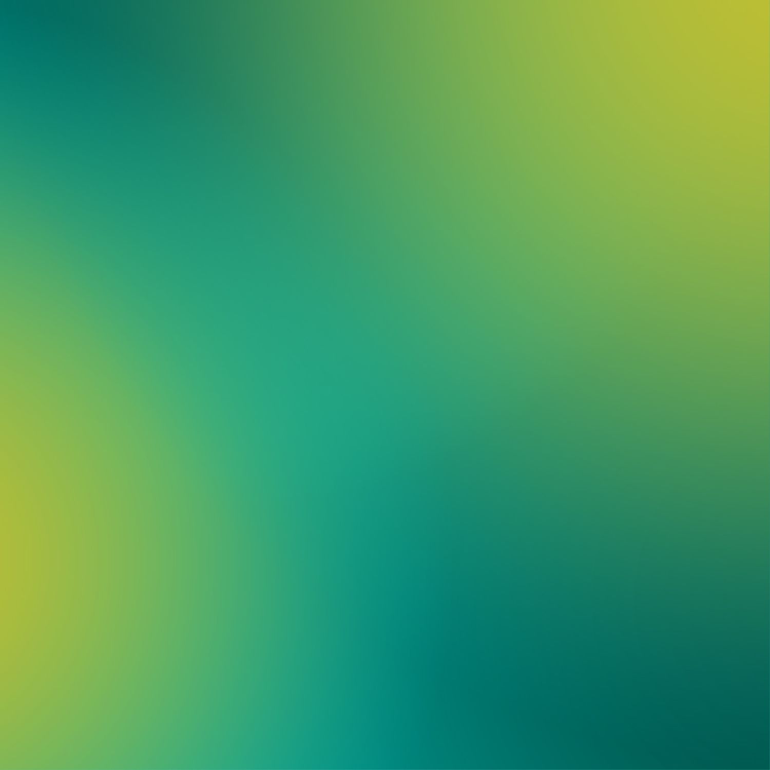 18C Masterfo | Sign Up for WholeSales Price