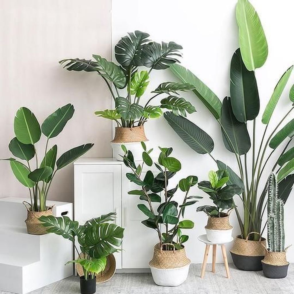 12. Artificial Plants 