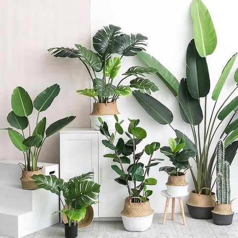 12. Artificial Plants 